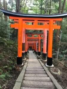 Travel Agent Nomadic Journeys Priya Kothari Japan 5 rotated
