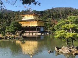 Travel Agent Nomadic Journeys Priya Kothari Japan 6