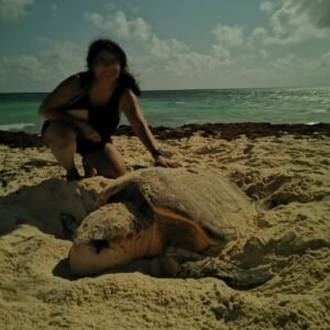 travel advisor nomadic journeys priya kothari turtle